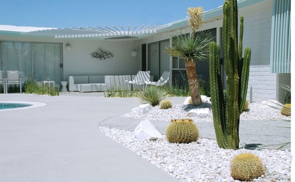 Desert Landscape Design