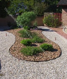 cheap inexpensive landscaping image
