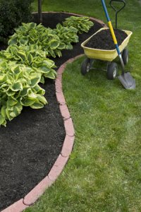 Inexpensive Landscaping Ideas
