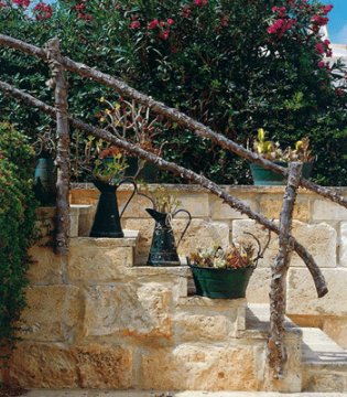 stone-wall-plants-planters-small-backyard-ideas