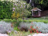 Backyard Landscape Design on a budget