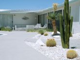 Desert Landscape Design