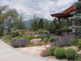 Landscape Design California