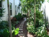 South Florida Landscape Design
