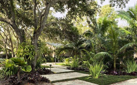 Tropical Landscape Design Ideas