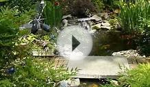 15 Pond Landscaping Designs for Your Garden