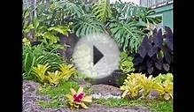 Best Ideas for Tropical Landscaping