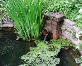 waterfall-small-pond-goldfish-backyard-landscaping-ideas